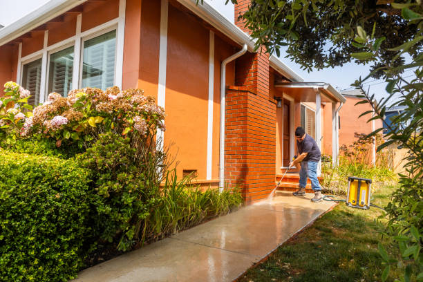 Best Pressure Washing Contractors  in Ripley, WV
