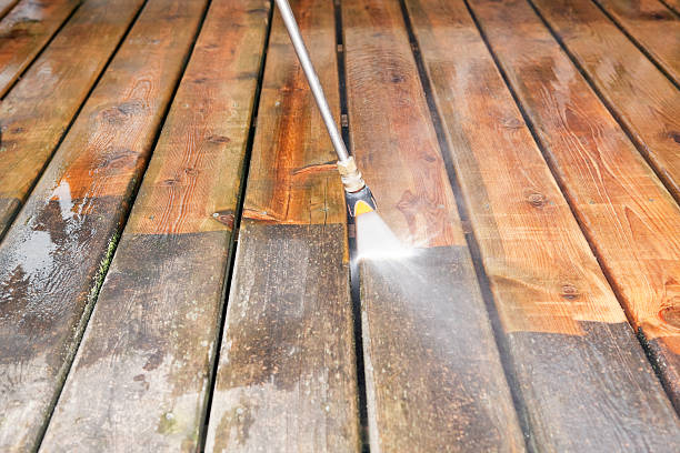 Best Residential Pressure Washing Services  in Ripley, WV