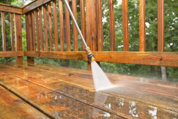 Best Deck Cleaning Services  in Ripley, WV