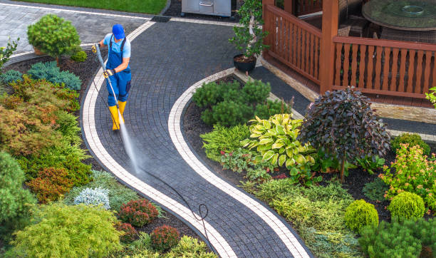 Best Sidewalk Pressure Washing  in Ripley, WV