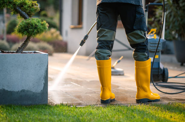 Best Pressure Washing Company Near Me  in Ripley, WV